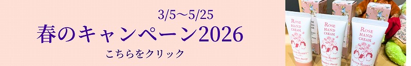 春キャン 春キャン