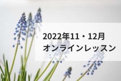 オンラインレッスン♪2022年11-12月