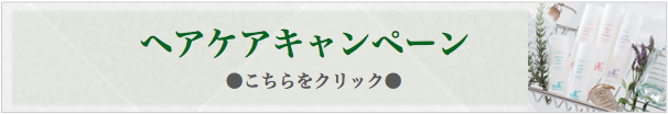 ヘアケアキャンペーン【新潟のオーガニック＆自然化粧品 Reia-麗愛-】しみ,シワ,たるみ,乾燥肌,敏感肌,ニキビ,アンチエイジング,美白,肌荒れに個別スキンケアをご提案,送料無料,通販,サンダースペリー化粧品,新潟,割引,メンバー,正規代理店